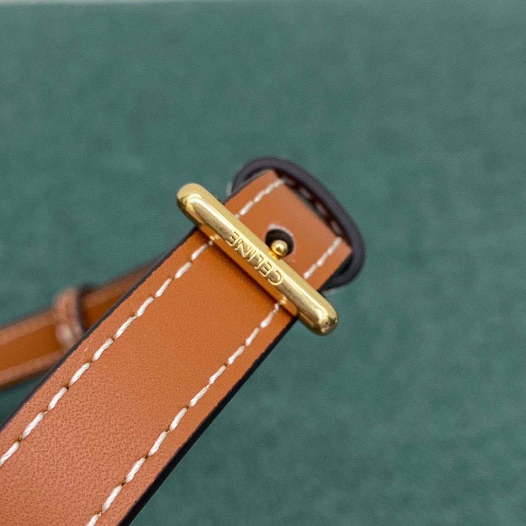 Ce1i*e Small Camera Triomphe Canvas Bag Brown For Women‎ 8in/20cm