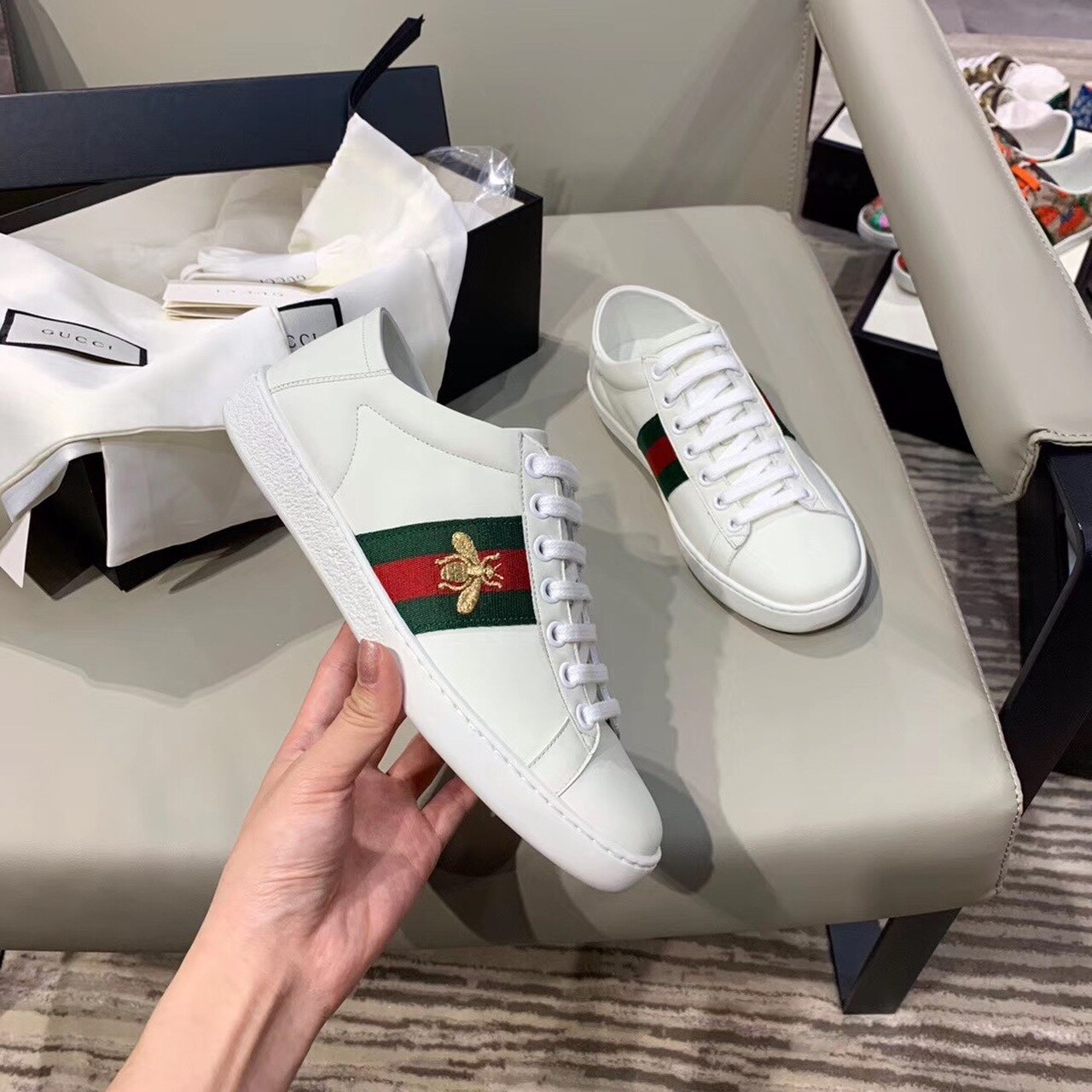 Gvc*1 Women’s Ace Sneaker With Bee White For Women GG